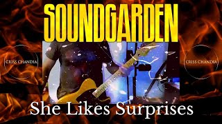 She Likes Surprises / Soundgarden - Criss Chandia / Guitar Cover (Finalle) 05-03-2018