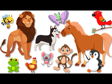 A cui este casuta - Copilasi Dragalasi - Desene animate educative