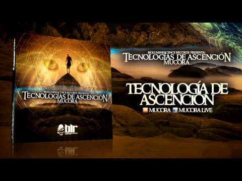 Tecnologías de ascención - Mucora