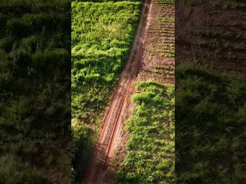 Primeiro vôo com o DJI mini 2      #djimini2 #dji #drone