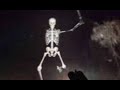 Top 5 Wing Ding Gaster