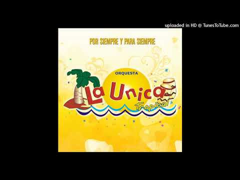 Destrozaste Mi Alma - La Única Tropical | Audio HD, Audio Hq.