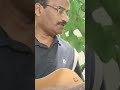 Rimjhim Gire Saawan - Guiter Cover | Sreekumar Nair | Saregama Open Stage #ytshorts #shorts  #music