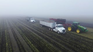 'It's bittersweet': Neighbors harvest beet fields for Minnesota farmer battling ALS