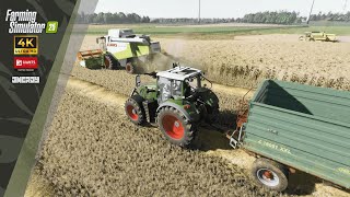 FS25 | Claas , Fendt & New Holland at first harvest '25 ! | ReShade Gameplay |