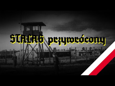 Stalag przywrócony - Reportaż