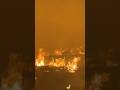 Rips your heart out man. East Canyon fire in Utah, rest easy buddy.