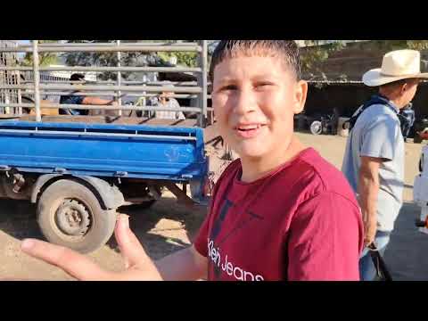 Tiangue de Santa Elena Usulutan El Salvador On 