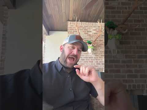 Oh… This Is Too Good… #shortsfeed #langley #congress #shortsvideo #goa Thumbnail