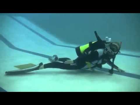 Neutral Buoyancy Fin Pivot