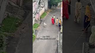 Urgent 🚨 #ngo #pet #streetdog #help #animalabuser #alcohol #viral