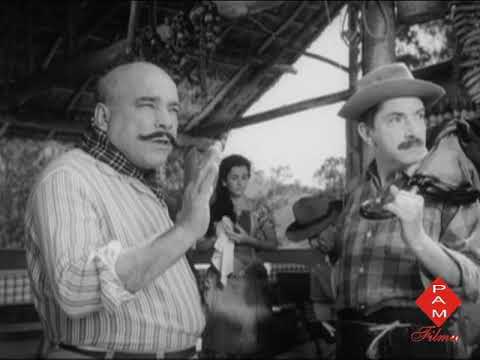 MAZZAROPI - BERNARDINHO...Cadê o lamparina,  Apresenta Andrté Luiz Mazzaropi