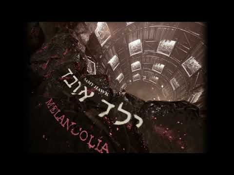 @SamyHawk ft Raúl González - MELANCOLIA [VISUALIZER]