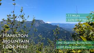 Video review of the Hamilton Mountain Loop hike with footage of its features and terrain.
