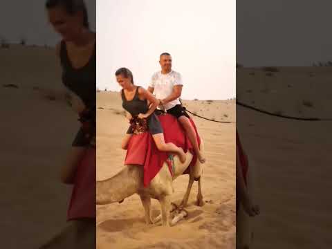 funny emotions Reactions att the camel ride desert safari camp #desertsafaridxbme