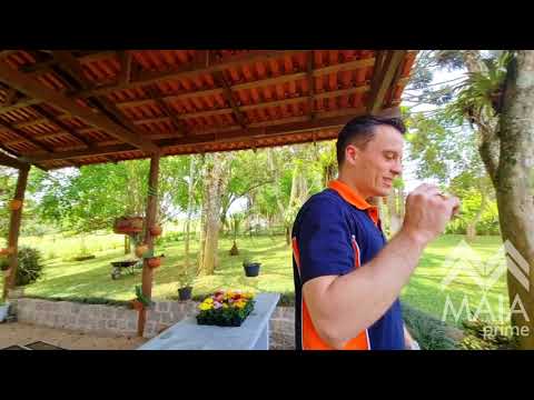 Chácara dos sonhos à venda em São José dos Pinhais-PR (R$: 3.999.990)