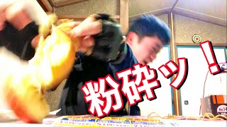 泥酔状態でリンゴと戦ってやった。【ガチファイト】