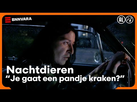 Nachtdieren (2019-2025)