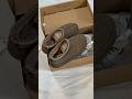 Tazz In Color Hickory Unboxingvideo Uggs Tazz