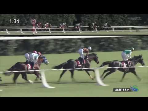 京都大賞典2016(2400m)THE KYOTO DAISHOTEN2016