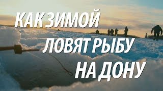 Рыбалка зимняя в липецкой области