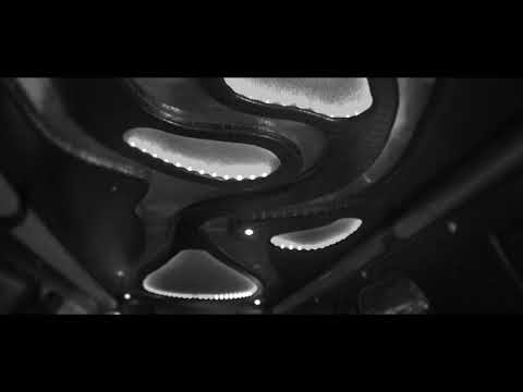 Durrty Skanx Style Ain’t Free2020