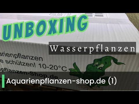 Unboxing Wasserpflanzen von Aquarienpflanzen-shop.de #aquaristik #aquarium #vlog #plants