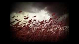 Kurt Vile - The Creature