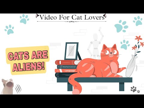 CATS ARE ALIEN INVASIVE SPECIES | Know Everything About CATS | #catlovers #peterdeveros #cats