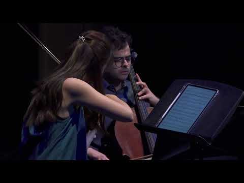 Alan Hlozek et al - "Duo for Violin and Cello" by Jessie Montgomery