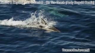 Above & Beyond pres Oceanlab - On The Beach (Andy Duguid Remix) VIDEO Dolphins bubble rings
