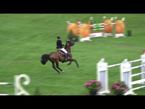 Urano de Cartigny -  1,55m CSI5* de Dinard
