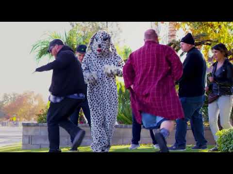 #Goals - "Squishy Anthem" DC-Jam Records - Official Music Video
