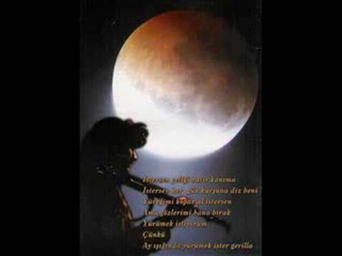 Şehit Sefkan Here Dilber