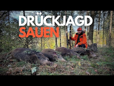 DRÜCKJAGD STORIES - Mehr Sauen als je zuvor - Best of mit der Driven Hunt!
