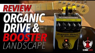Video thumbnail for Organic Drive & Booster Landscape (Review + Dicas) by Alexandre Almeida