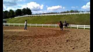 preview picture of video 'Virginia Horse Center .... 750 stalls  ...... Lexington, Virginia'