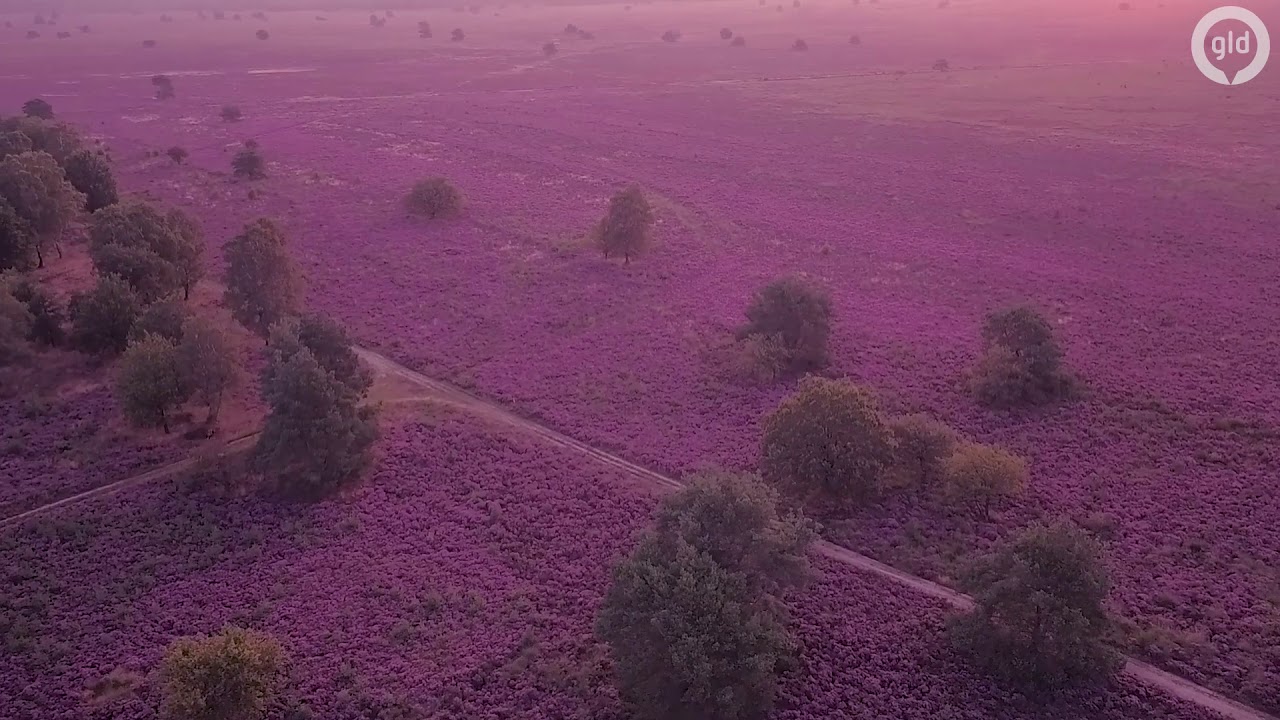 Heide Omroep Gelderland