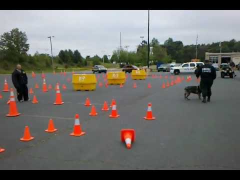 Concord K-9 demonstration - call off, transport, detention