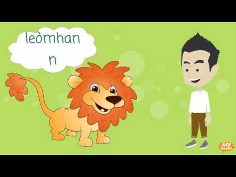 Go!Gaelic - Core Language 09 - Animals