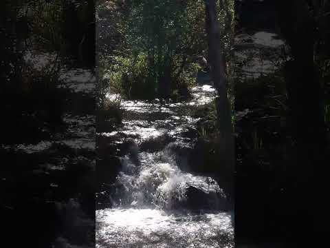 Cachoeira dos Macacos - Carvalhópolis Minas Gerais #minasgerais #carvalhopolis #cachoeira #shorts