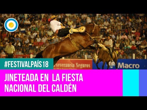 Festival País '18 -  Jineteada en el Festival Nacional del Caldén ’18