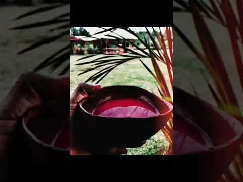 Wazo- compas vybz (cachiri )