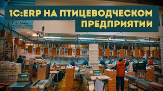 1C:ERP для Птицефабрики Рефтинская