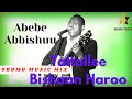 Abebe Abbishuu Taltallee Bishaan Haroo Oromo Music
