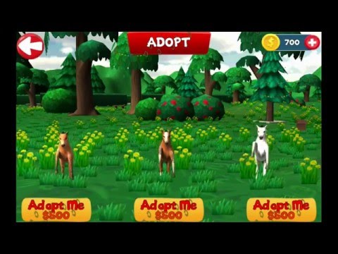 Super Horse 3D Video