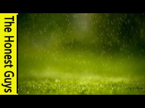 1 Hour of Gentle Rain - Meditation (without music)