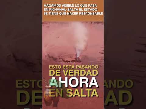 PICHANAL, SALTA. DESASTRE AMBIENTAL