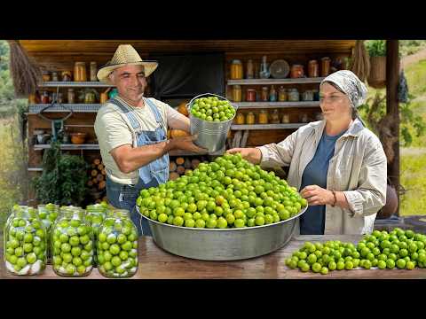 How to Pickle, Jam & Bake Green Cherry Plums – Village Cooking Day