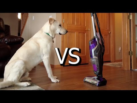 Bissell Crosswave Pet Pro VS Dog Hair. How Does It Do?